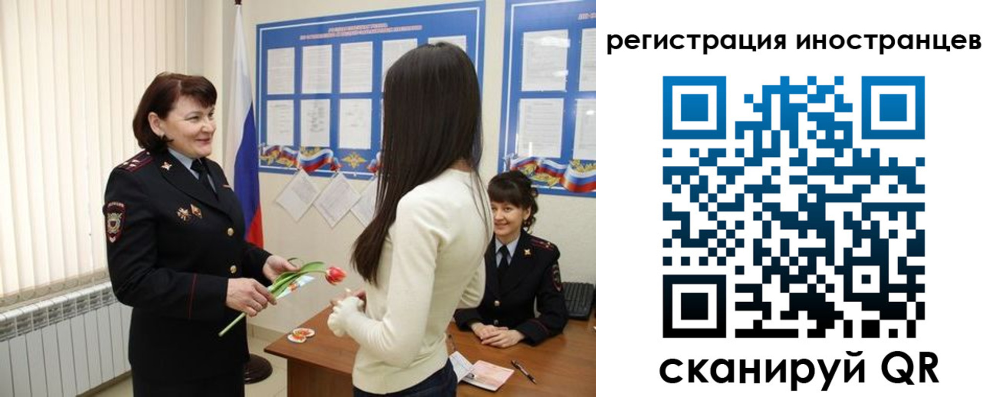 прописка в квартире в Ивантеевке
